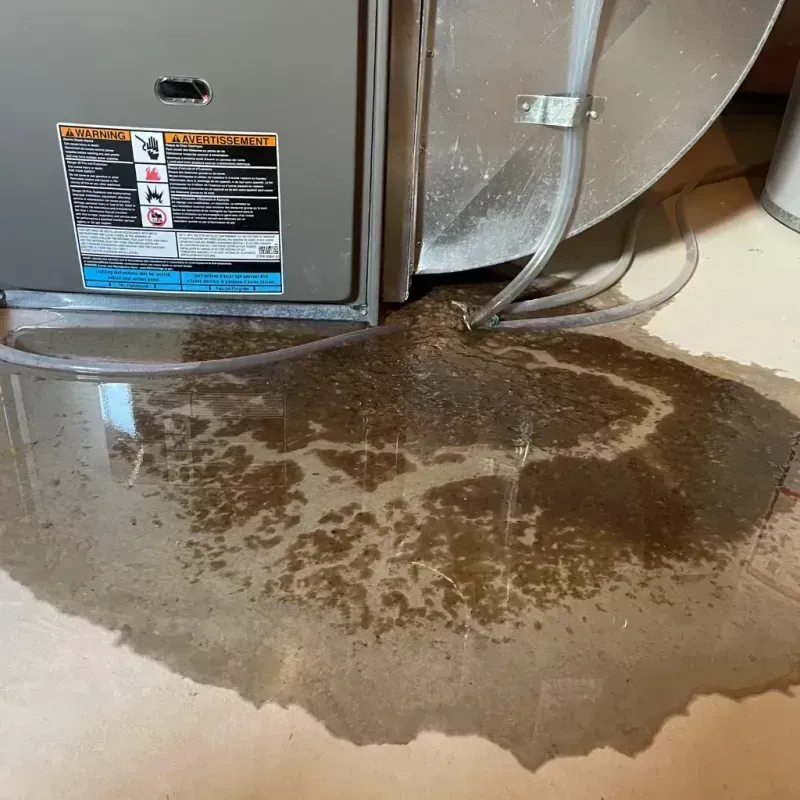 Appliance Leak Cleanup in Lewisburg, PA